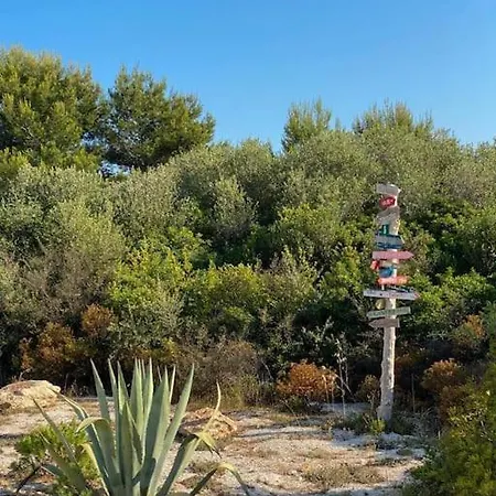 Alba, House-5 Minutes From Sea *